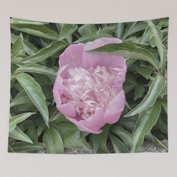 Item preview, Peony Pleasures 10 designed and sold by Abeink1030.