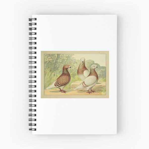 Item preview, Beautiful Pigeons designed and sold by rhodeyart.