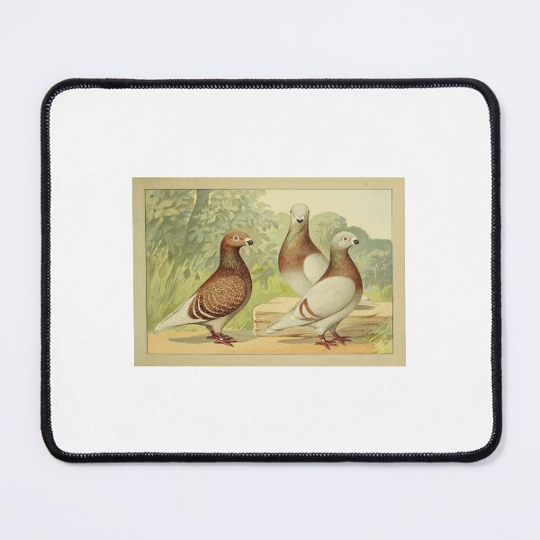 Item preview, Beautiful Pigeons designed and sold by rhodeyart.
