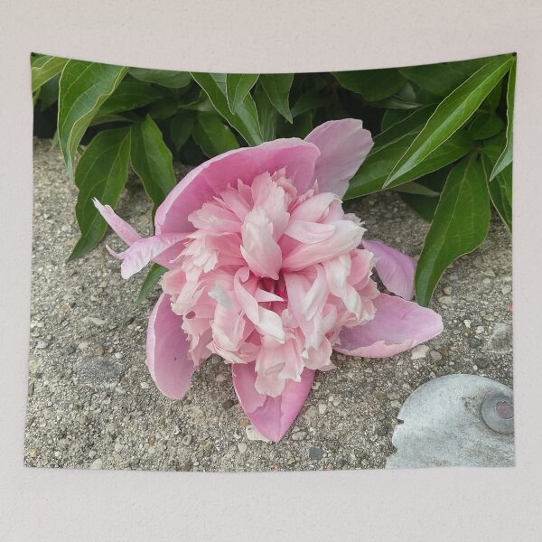 Item preview, Peony Pleasures 11 designed and sold by Abeink1030.