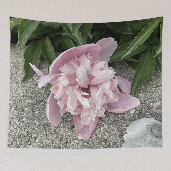 Item preview, Peony Pleasures 12 designed and sold by Abeink1030.
