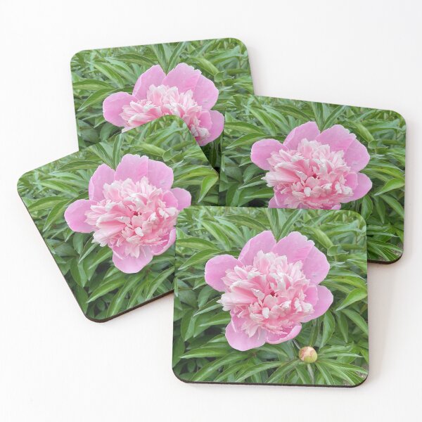 Item preview, Peony Pleasures 13 designed and sold by Abeink1030.