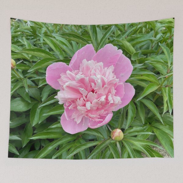 Item preview, Peony Pleasures 13 designed and sold by Abeink1030.