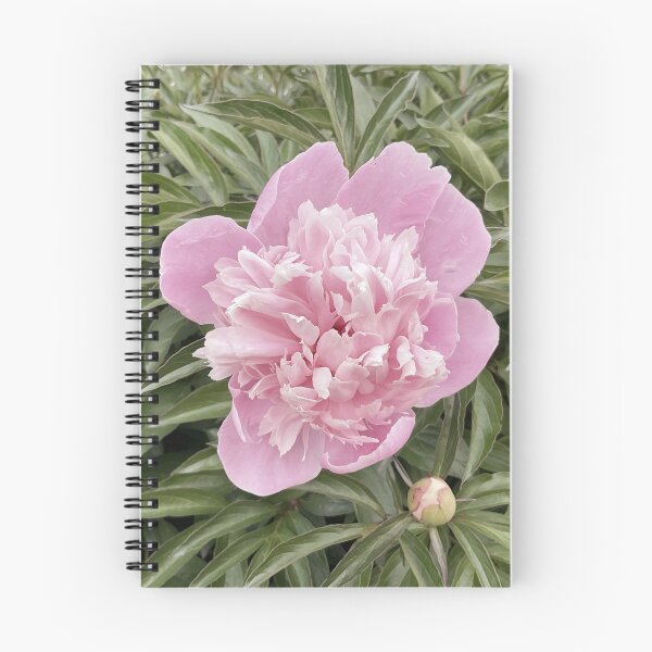 Item preview, Peony Pleasures 14 designed and sold by Abeink1030.