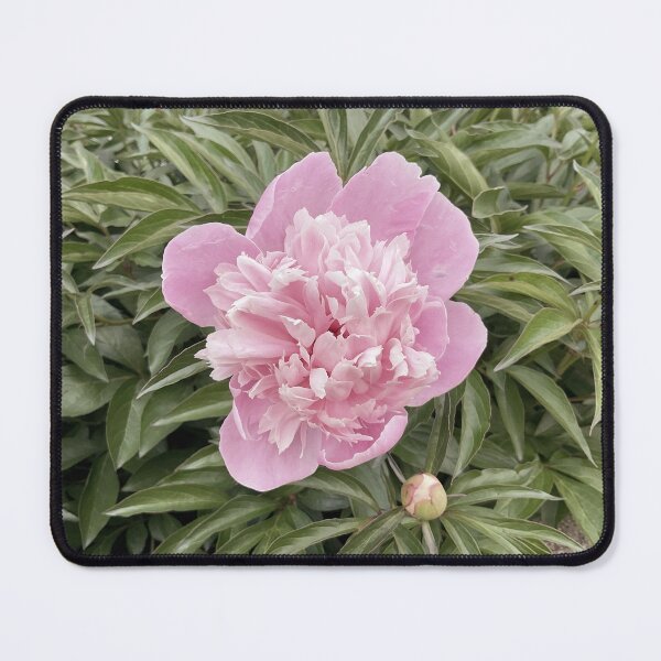 Item preview, Peony Pleasures 14 designed and sold by Abeink1030.
