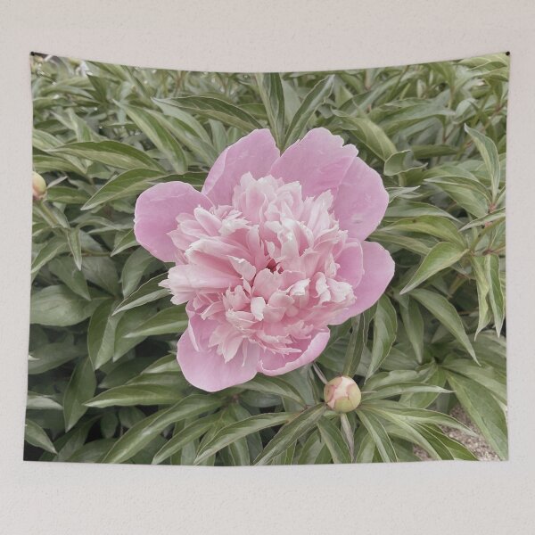 Item preview, Peony Pleasures 14 designed and sold by Abeink1030.