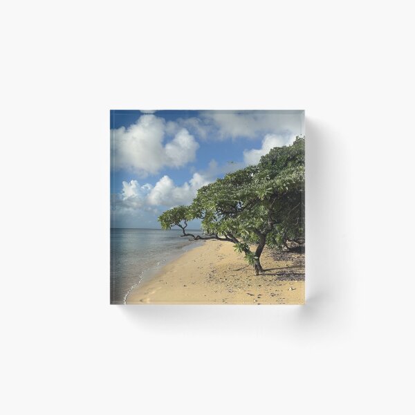 Item preview, Island First Watch Breeze Paradise designed and sold by Ivonagarden.