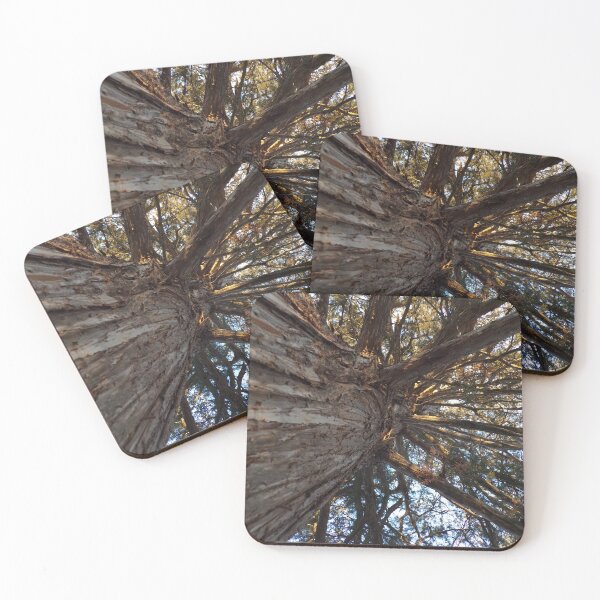 Item preview, Upward View of Tree designed and sold by Acts2-32Photos.