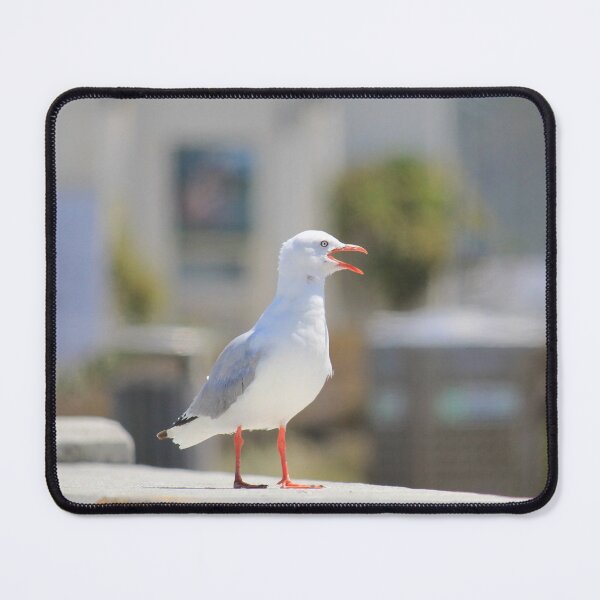Item preview, Seagull In the City designed and sold by KarenWoodArt.