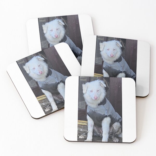 Item preview, The "Double Merle" Miracle vs. The Mud Queen ?? ​ designed and sold by Snowysjourney.