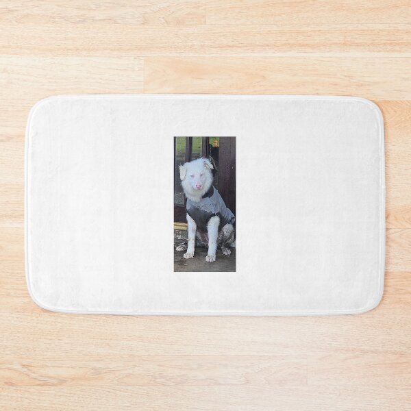 Item preview, The "Double Merle" Miracle vs. The Mud Queen ?? ​ designed and sold by Snowysjourney.