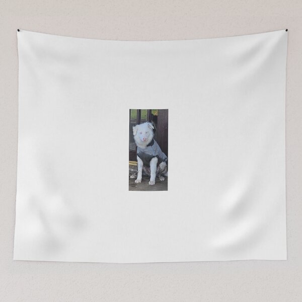 Item preview, The "Double Merle" Miracle vs. The Mud Queen ?? ​ designed and sold by Snowysjourney.