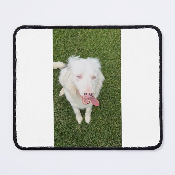 Item preview, Snowy: A Lethal White Success Story designed and sold by Snowysjourney.