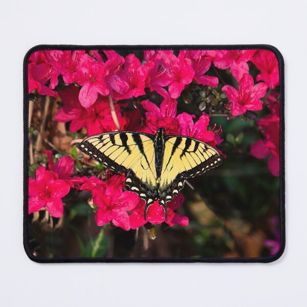 Item preview, A Gathering of Colors designed and sold by James Hoffman.