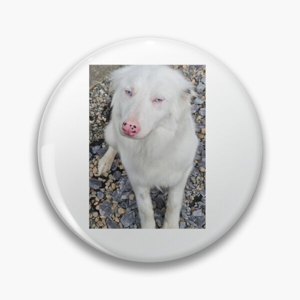 Item preview, ​Snowy: The Blue-Eyed Soul of Ireland designed and sold by Snowysjourney.