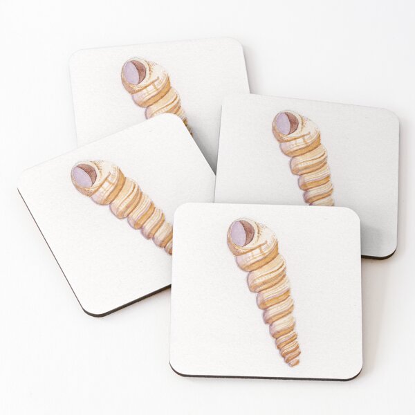 Item preview, A single pointed cone shell designed and sold by KPierceArt.
