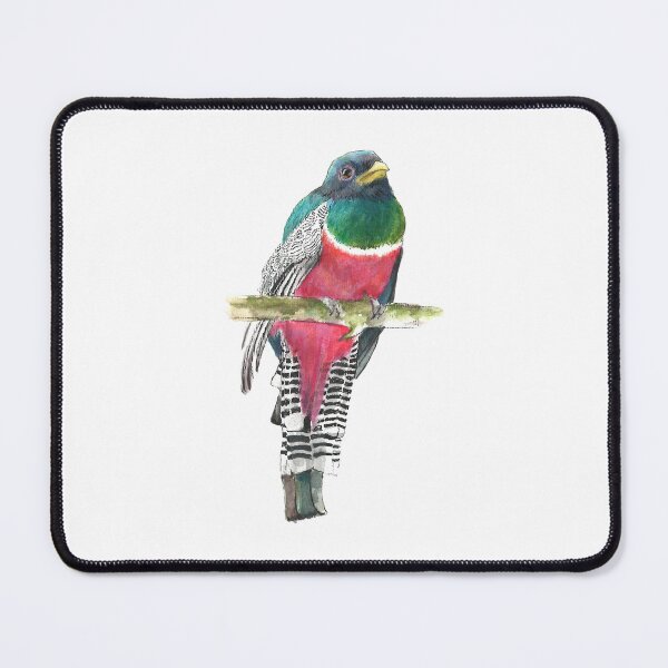 Item preview, Bird Trogon elegans Illustration designed and sold by Galletascl.