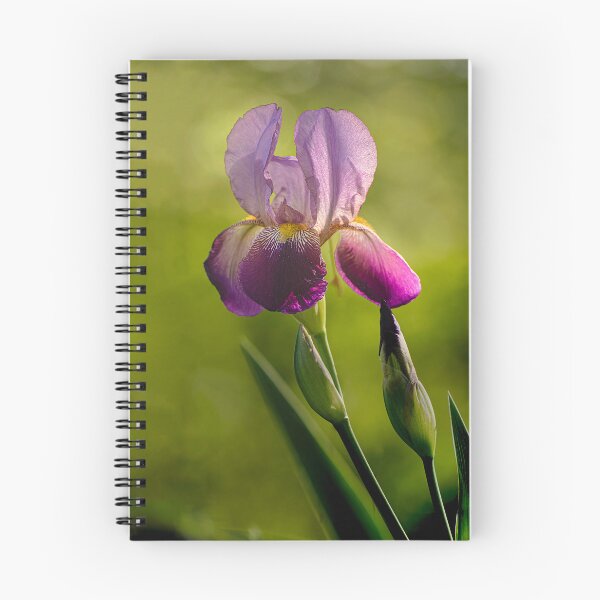 Item preview, A Moment in April designed and sold by James Hoffman.