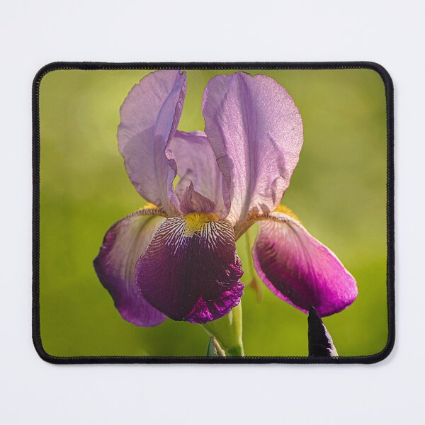 Item preview, A Moment in April designed and sold by James Hoffman.