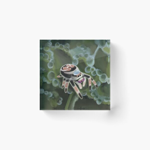 Item preview, Jumping Spider designed and sold by TheCabPatch.
