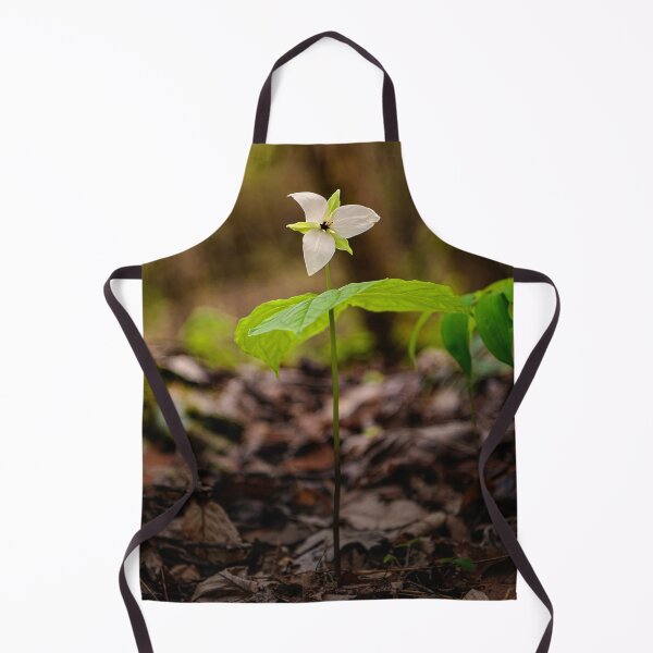 Item preview, Emergence designed and sold by James Hoffman.
