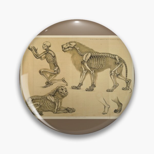 Item preview, Comparative View of the Human and Lion Frame by Benjamin Waterhouse Hawkins designed and sold by Amanda1775.