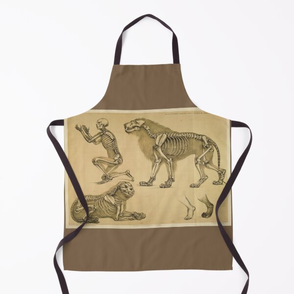 Item preview, Comparative View of the Human and Lion Frame by Benjamin Waterhouse Hawkins designed and sold by Amanda1775.