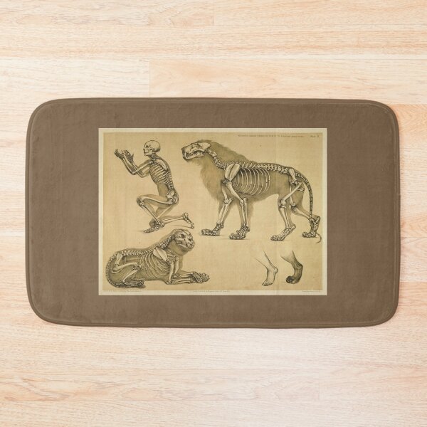 Item preview, Comparative View of the Human and Lion Frame by Benjamin Waterhouse Hawkins designed and sold by Amanda1775.