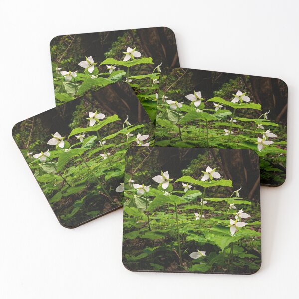 Item preview, Primavera designed and sold by James Hoffman.