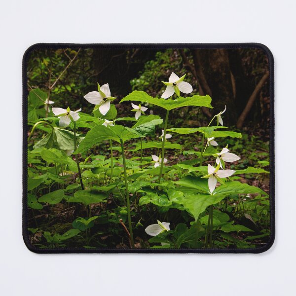 Item preview, Primavera designed and sold by James Hoffman.