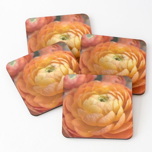 Item preview, Petal Gradient designed and sold by Betsy Phillips.