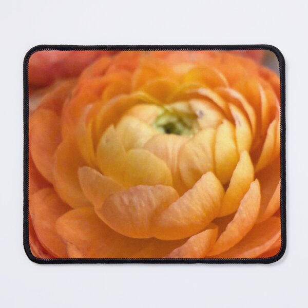 Item preview, Petal Gradient designed and sold by Betsy Phillips.