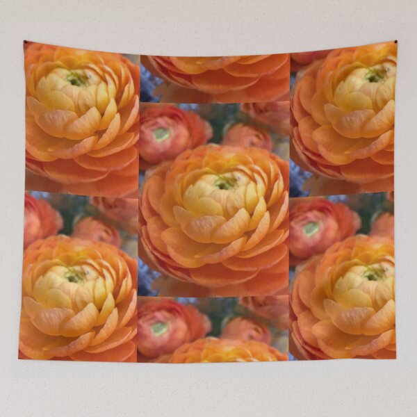 Item preview, Petal Gradient designed and sold by Betsy Phillips.