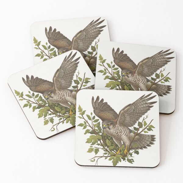 Item preview, Eurasian Sparrowhawk – Dynamic Raptor Illustration designed and sold by The Digital Compass.