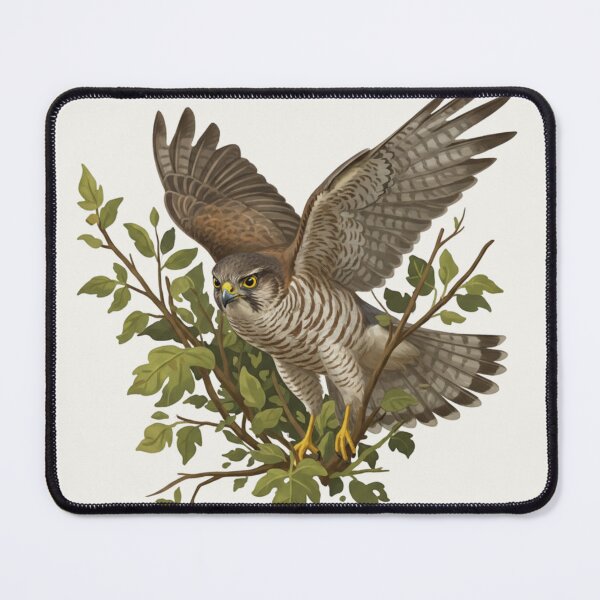 Item preview, Eurasian Sparrowhawk – Dynamic Raptor Illustration designed and sold by The Digital Compass.