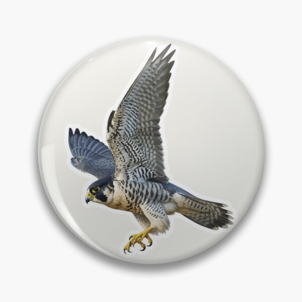 Item preview, Peregrine Falcon – High‑Speed Raptor Illustration designed and sold by The Digital Compass.