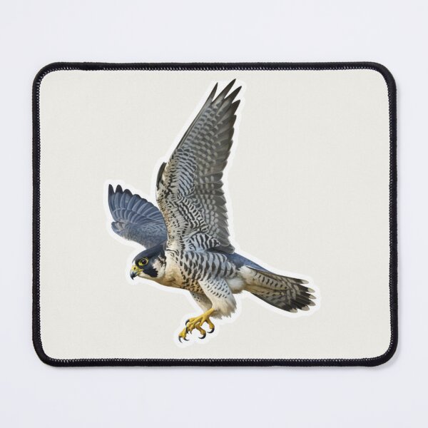 Item preview, Peregrine Falcon – High‑Speed Raptor Illustration designed and sold by The Digital Compass.