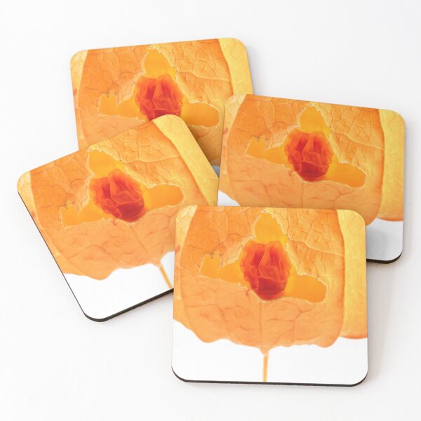 Item preview, Macro one orange physalis bud with visible dried fruit inside on white background designed and sold by TanalyFlowers.