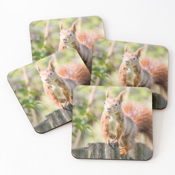 Item preview, squirrel designed and sold by Katja LebenFreude.