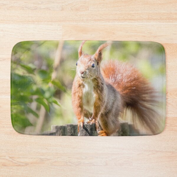 Item preview, squirrel designed and sold by Katja LebenFreude.
