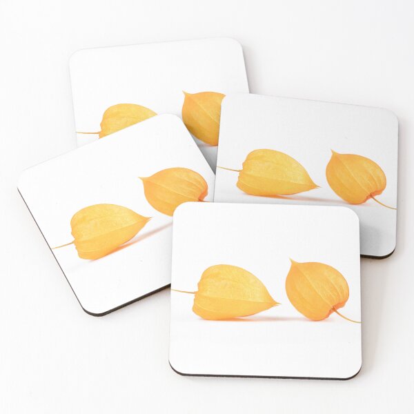 Item preview, Macro couple vibrant orange and yellow dried physalis buds on white backdrop designed and sold by TanalyFlowers.