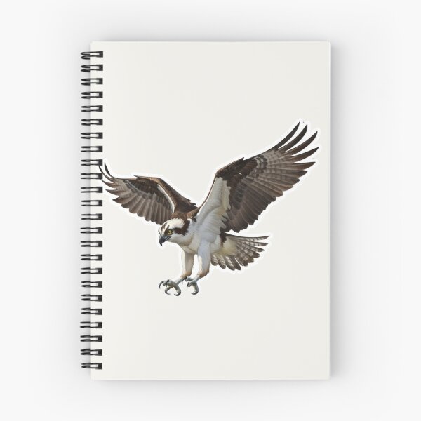 Aperçu de l'œuvre Balbuzard pêcheur – Illustration spectaculaire d'un rapace en pleine chasse créée et vendue par The Digital Compass.