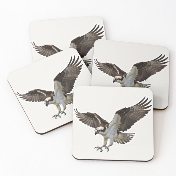 Item preview, Osprey – Dramatic Hunting Raptor Illustration designed and sold by The Digital Compass.