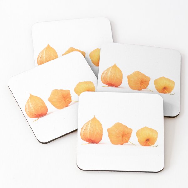 Item preview, Macro three vibrant orange and yellow dried physalis buds on white backdrop designed and sold by TanalyFlowers.
