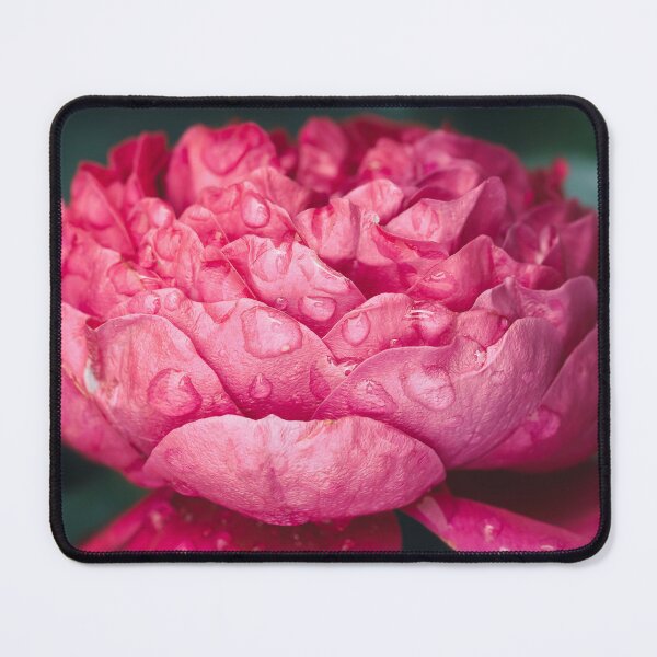 Item preview, Big pink blooming pink rose flower designed and sold by TanalyFlowers.