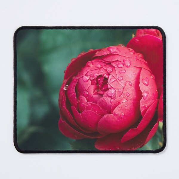 Item preview, Big pink blooming pink rose flower vertical designed and sold by TanalyFlowers.