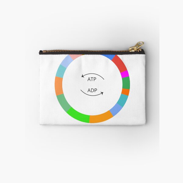 Item preview, mitochondrial DNA designed and sold by Molecule World.