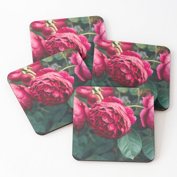 Item preview, Three Big pink blooming pink rose flowers designed and sold by TanalyFlowers.