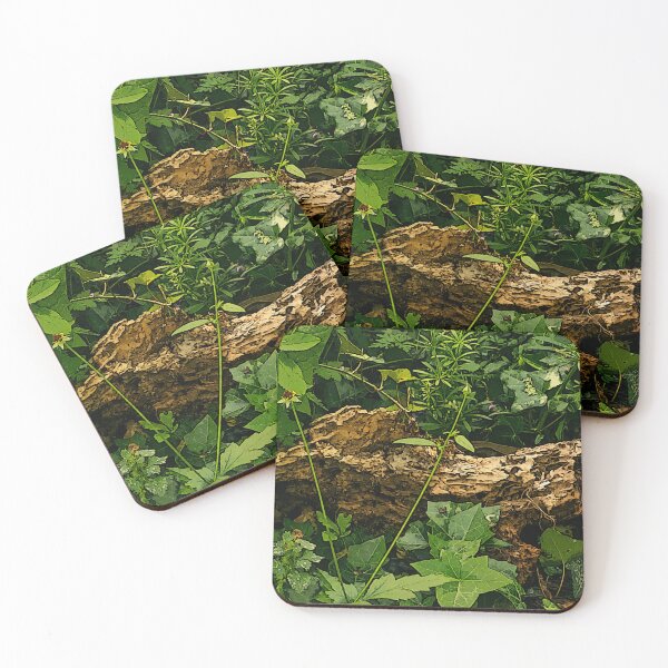 Item preview, Where Things Fall Apart, Life Begins – Forest Aesthetic Art designed and sold by InnerwayStudio.