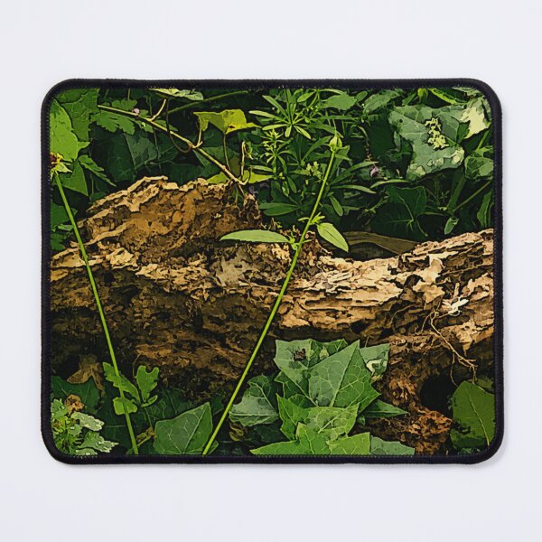 Item preview, Where Things Fall Apart, Life Begins – Forest Aesthetic Art designed and sold by InnerwayStudio.